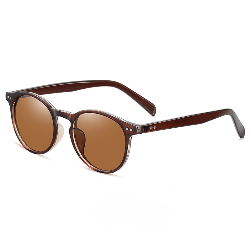 Desmond Retro Wayfarer Polarized Sunglasses - Rad Sunnies